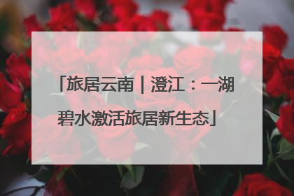 旅居云南｜澄江：一湖碧水激活旅居新生态