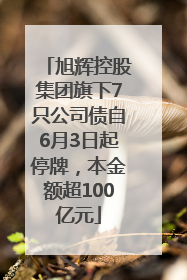 旭辉控股集团旗下7只公司债自6月3日起停牌，本金额超100亿元