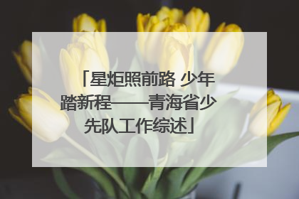星炬照前路 少年踏新程——青海省少先队工作综述