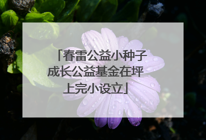 春雷公益小种子成长公益基金在坪上完小设立