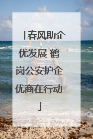 春风助企优发展 鹤岗公安护企优商在行动