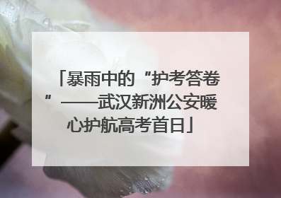 暴雨中的“护考答卷”——武汉新洲公安暖心护航高考首日