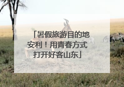 暑假旅游目的地安利！用青春方式打开好客山东