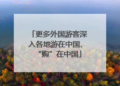 更多外国游客深入各地游在中国、“购”在中国