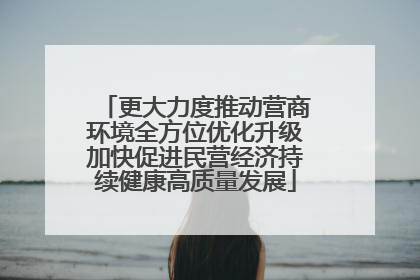 更大力度推动营商环境全方位优化升级加快促进民营经济持续健康高质量发展