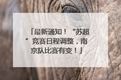 最新通知！“苏超”竞赛日程调整，南京队比赛有变！