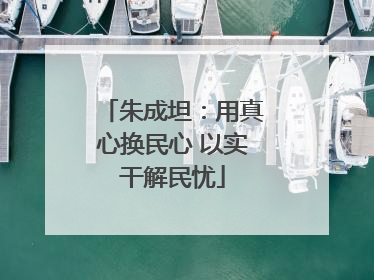 朱成坦：用真心换民心 以实干解民忧