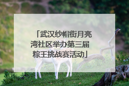 武汉纱帽街月亮湾社区举办第三届粽王挑战赛活动