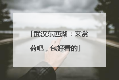 武汉东西湖：来赏荷吧，包好看的
