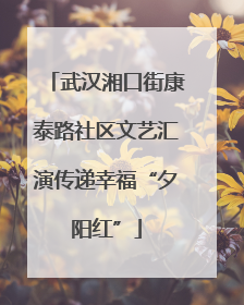 武汉湘口街康泰路社区文艺汇演传递幸福“夕阳红”