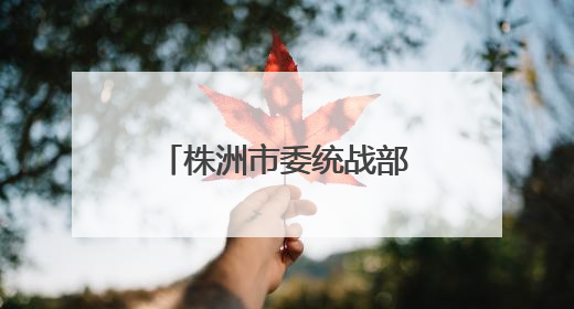 株洲市委统战部、市教育局调研党外知识分子“边颖工作室”