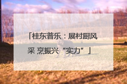 桂东普乐：展村厨风采 烹振兴“实力”