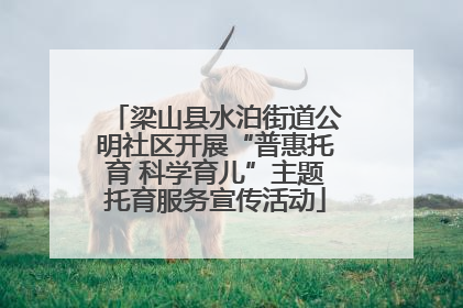梁山县水泊街道公明社区开展“普惠托育 科学育儿”主题托育服务宣传活动