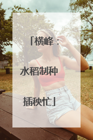 横峰：水稻制种插秧忙
