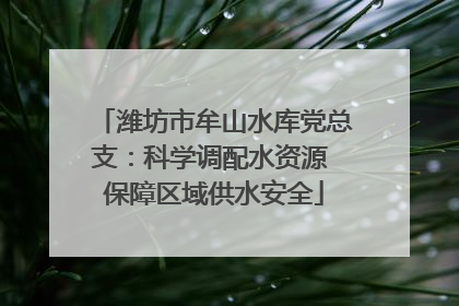 潍坊市牟山水库党总支：科学调配水资源 保障区域供水安全