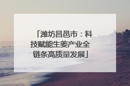潍坊昌邑市：科技赋能生姜产业全链条高质量发展
