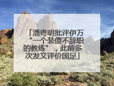 潘粤明批评伊万“一个装傻不辞职的教练”，此前多次发文评价国足