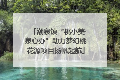 潮泉镇“桃小美·泉心办”助力梦幻桃花源项目扬帆起航