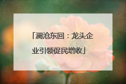 澜沧东回：龙头企业引领促民增收