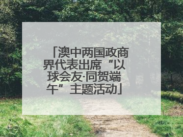 澳中两国政商界代表出席“以球会友·同贺端午”主题活动
