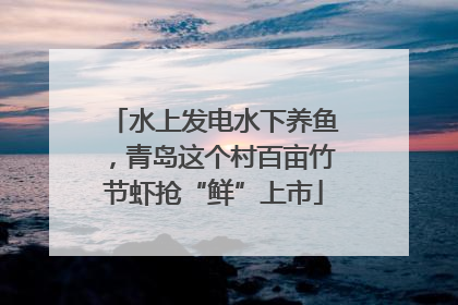 水上发电水下养鱼，青岛这个村百亩竹节虾抢“鲜”上市
