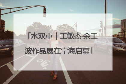 水双重｜王敏杰·余王波作品展在宁海启幕