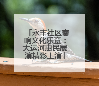 永丰社区奏响文化乐章：大运河惠民展演精彩上演