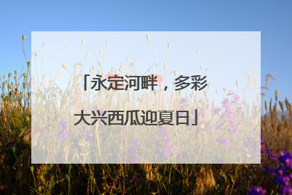永定河畔，多彩大兴西瓜迎夏日