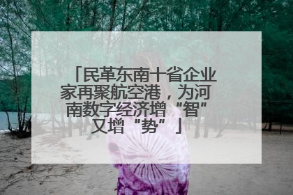 民革东南十省企业家再聚航空港，为河南数字经济增“智”又增“势”
