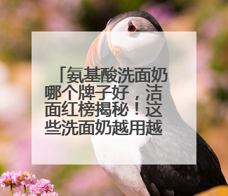 氨基酸洗面奶哪个牌子好，洁面红榜揭秘！这些洗面奶越用越上瘾