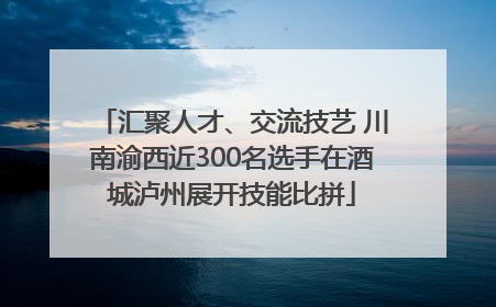 汇聚人才、交流技艺 川南渝西近300名选手在酒城泸州展开技能比拼