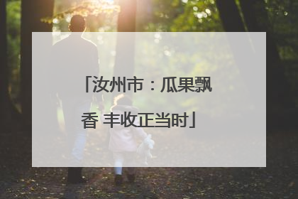 汝州市：瓜果飘香 丰收正当时