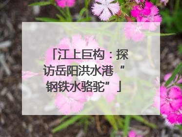 江上巨构：探访岳阳洪水港“钢铁水骆驼”