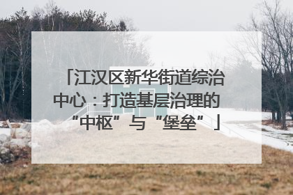 江汉区新华街道综治中心：打造基层治理的“中枢”与“堡垒”