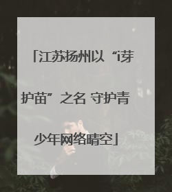 江苏扬州以“i芽护苗”之名 守护青少年网络晴空