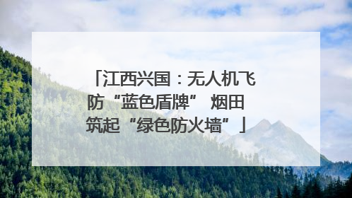 江西兴国：无人机飞防“蓝色盾牌” 烟田筑起“绿色防火墙”