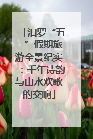 汨罗“五一”假期旅游全景纪实：千年诗韵与山水欢歌的交响