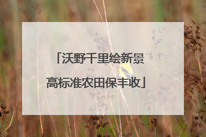 沃野千里绘新景 高标准农田保丰收