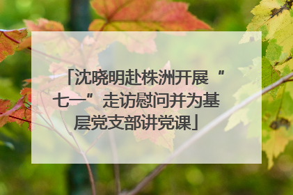 沈晓明赴株洲开展“七一”走访慰问并为基层党支部讲党课