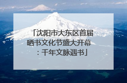 沈阳市大东区首届晒书文化节盛大开幕：千年文脉遇书