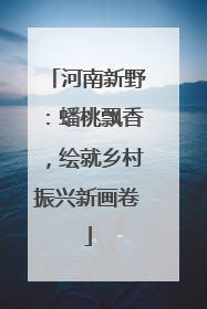 河南新野：蟠桃飘香，绘就乡村振兴新画卷