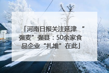 河南日报关注延津 “强麦”强县：50余家食品企业“扎堆”在此