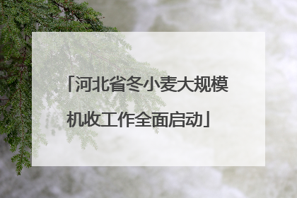 河北省冬小麦大规模机收工作全面启动