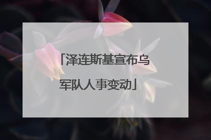 泽连斯基宣布乌军队人事变动