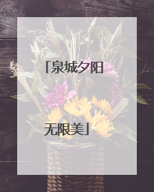 泉城夕阳无限美
