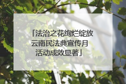 法治之花绚烂绽放 云南民法典宣传月活动成效显著