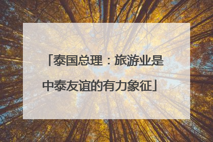 泰国总理：旅游业是中泰友谊的有力象征