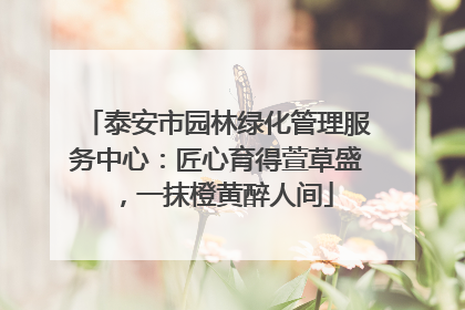 泰安市园林绿化管理服务中心：匠心育得萱草盛，一抹橙黄醉人间
