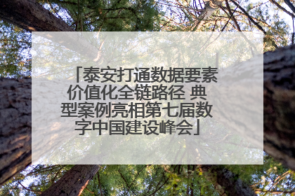 泰安打通数据要素价值化全链路径 典型案例亮相第七届数字中国建设峰会
