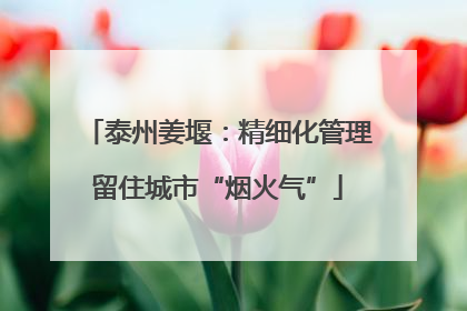 泰州姜堰：精细化管理留住城市“烟火气”